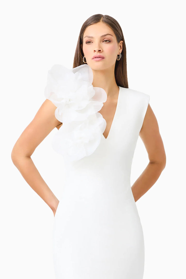 {EVENING WEAR} - Premium {FORMALS} - Shop now at {ALINA COLLECTIONS}