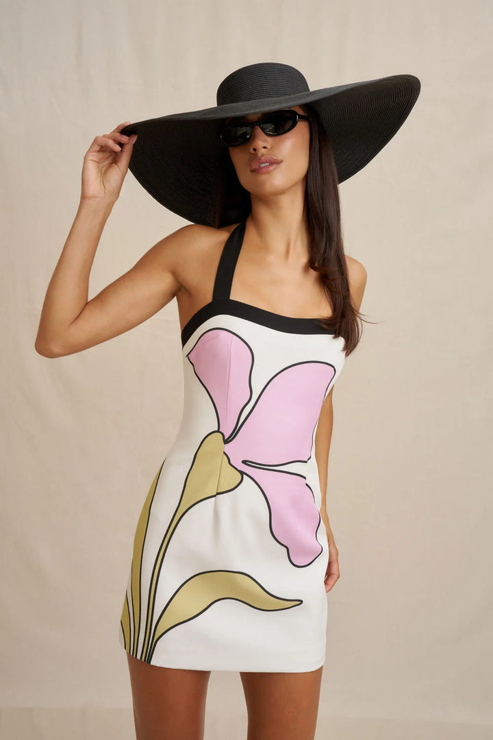 {EVENING WEAR} - Premium {FORMALS} - Shop now at {ALINA COLLECTIONS}